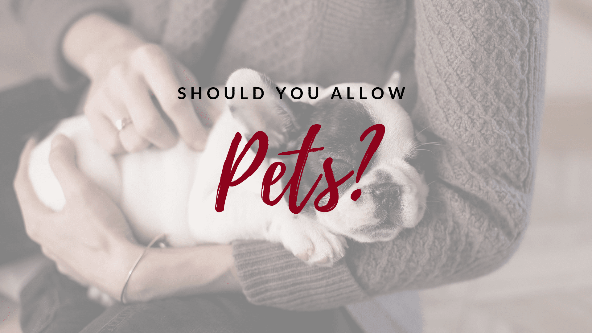 Should You Allow Pets in Your Rental Property? | RL Property Management